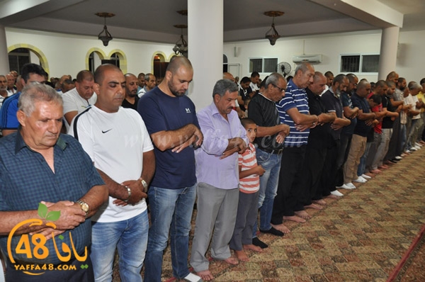 tarawee7 3ajamiwj (7).JPG